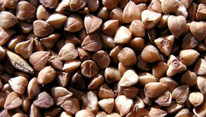 Buckwheat